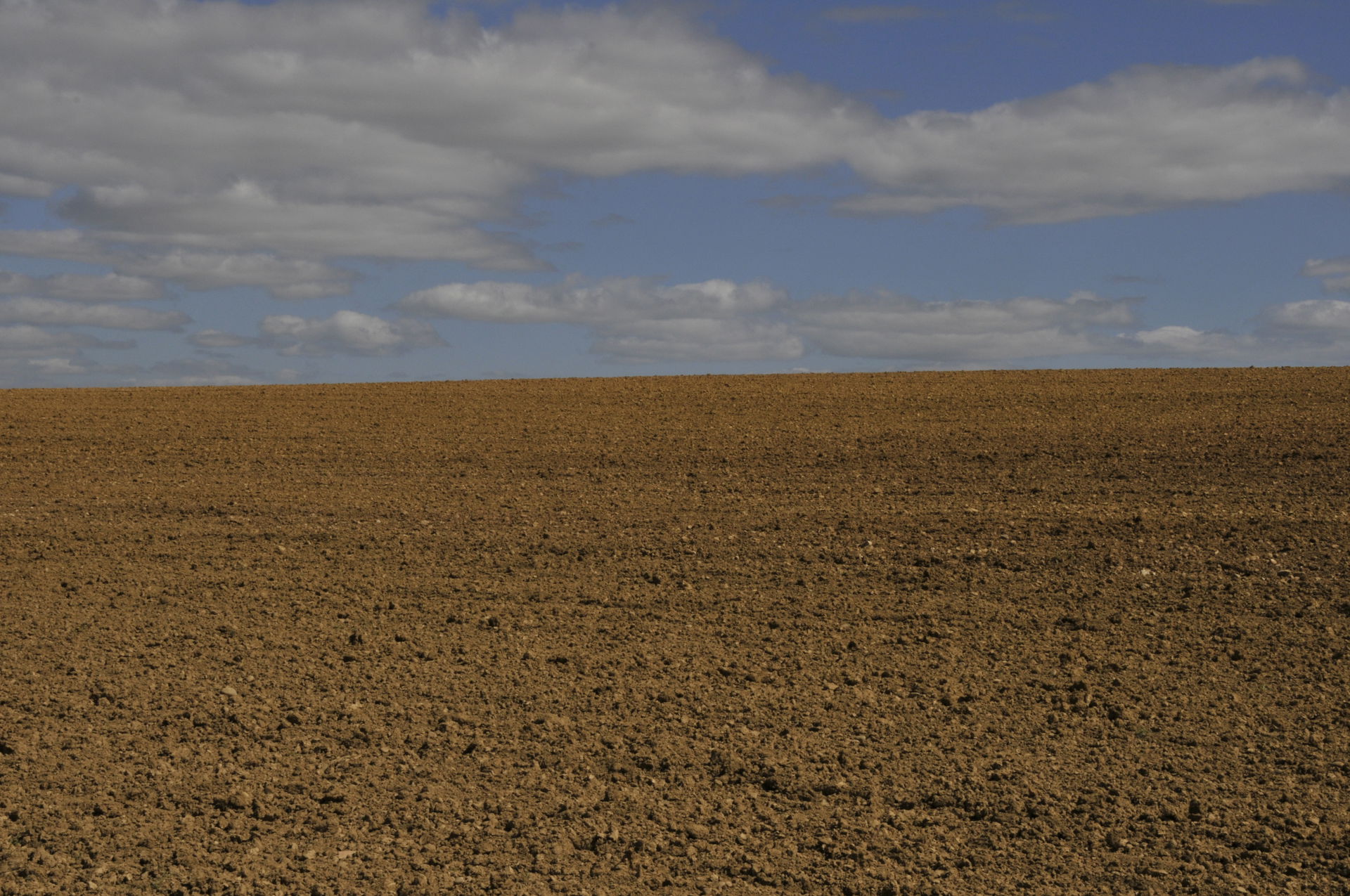 Tierra de Campos view 2