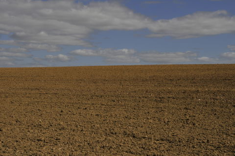 Tierra de Campos view 2