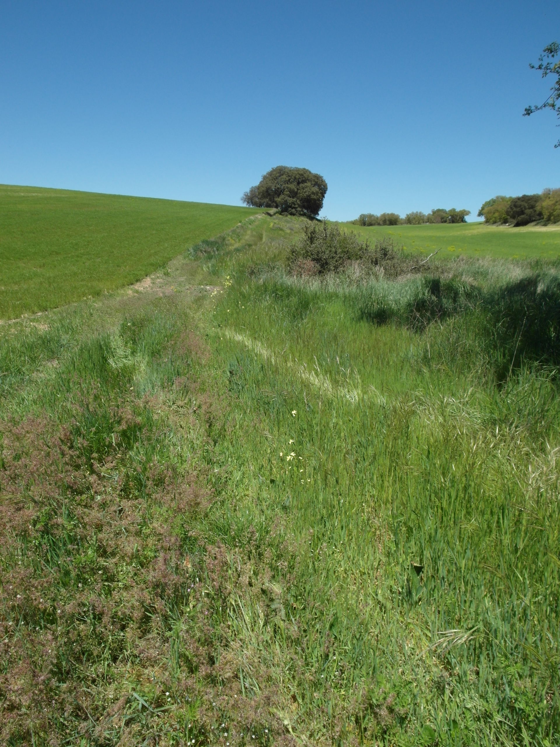 Montes Torozos view 5