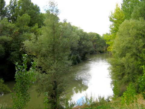 Campo de Peñafiel view 2