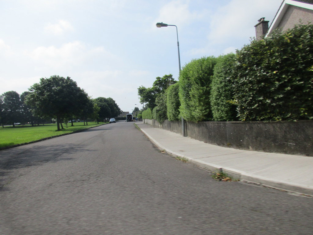 Ballincollig district