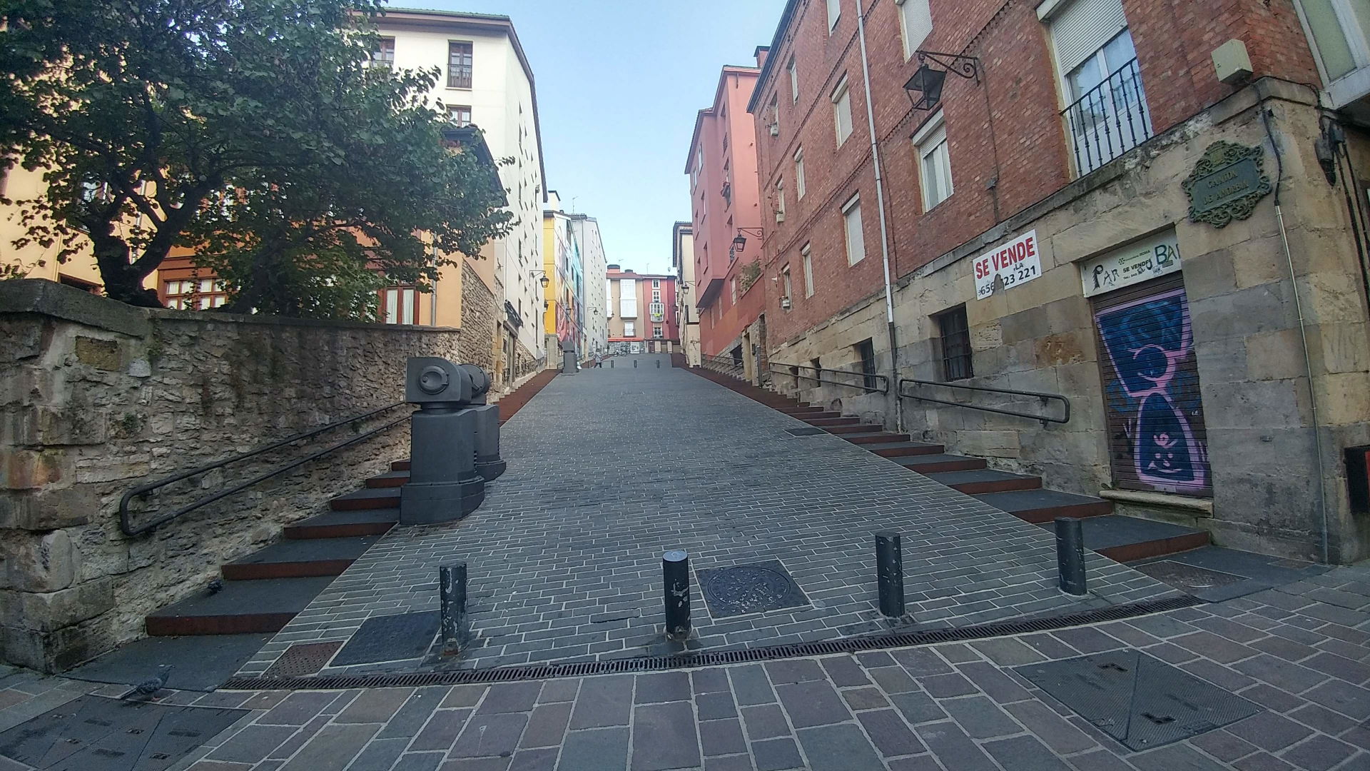 Anorbin view 5