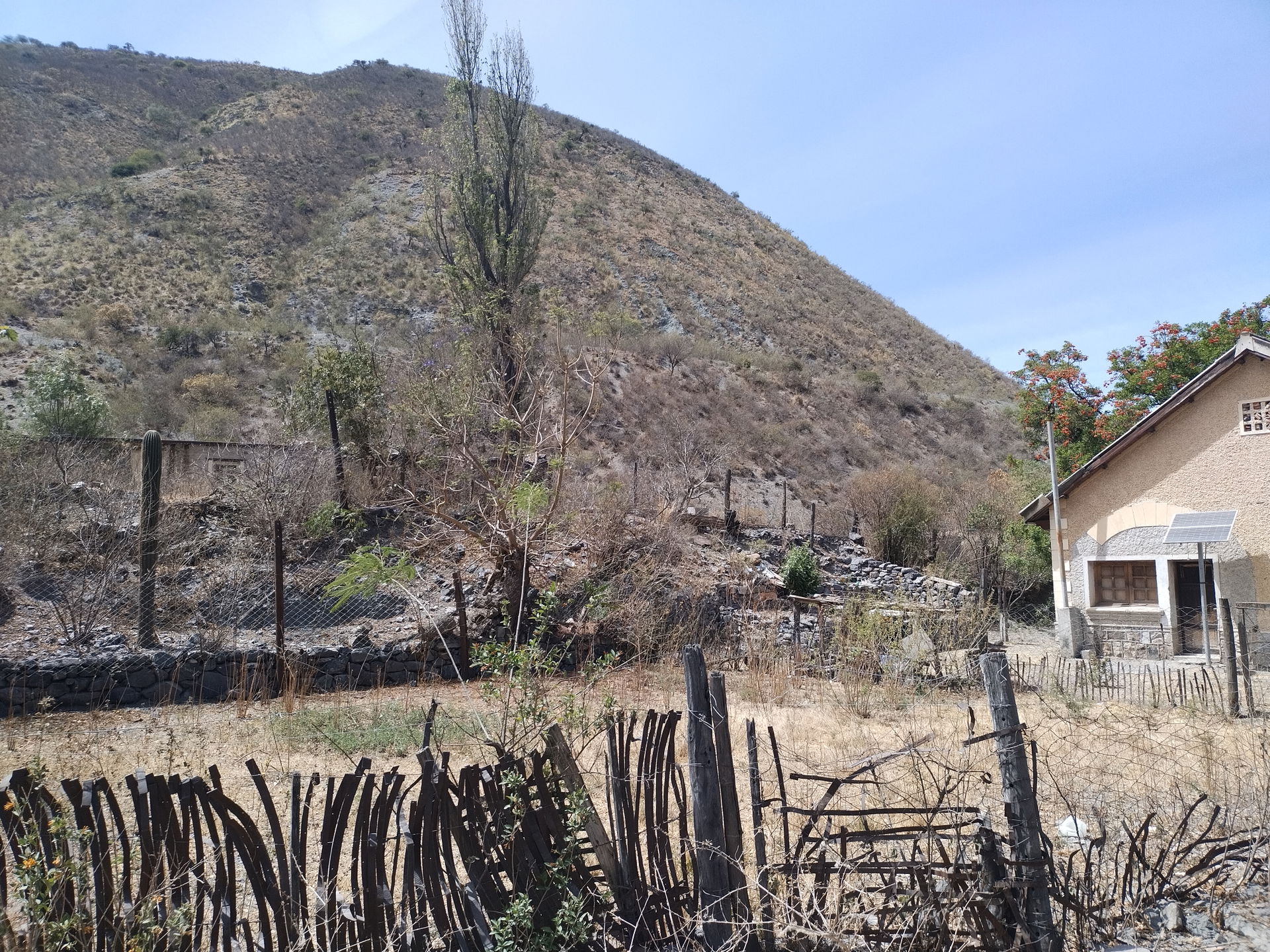 El Alisal view 1