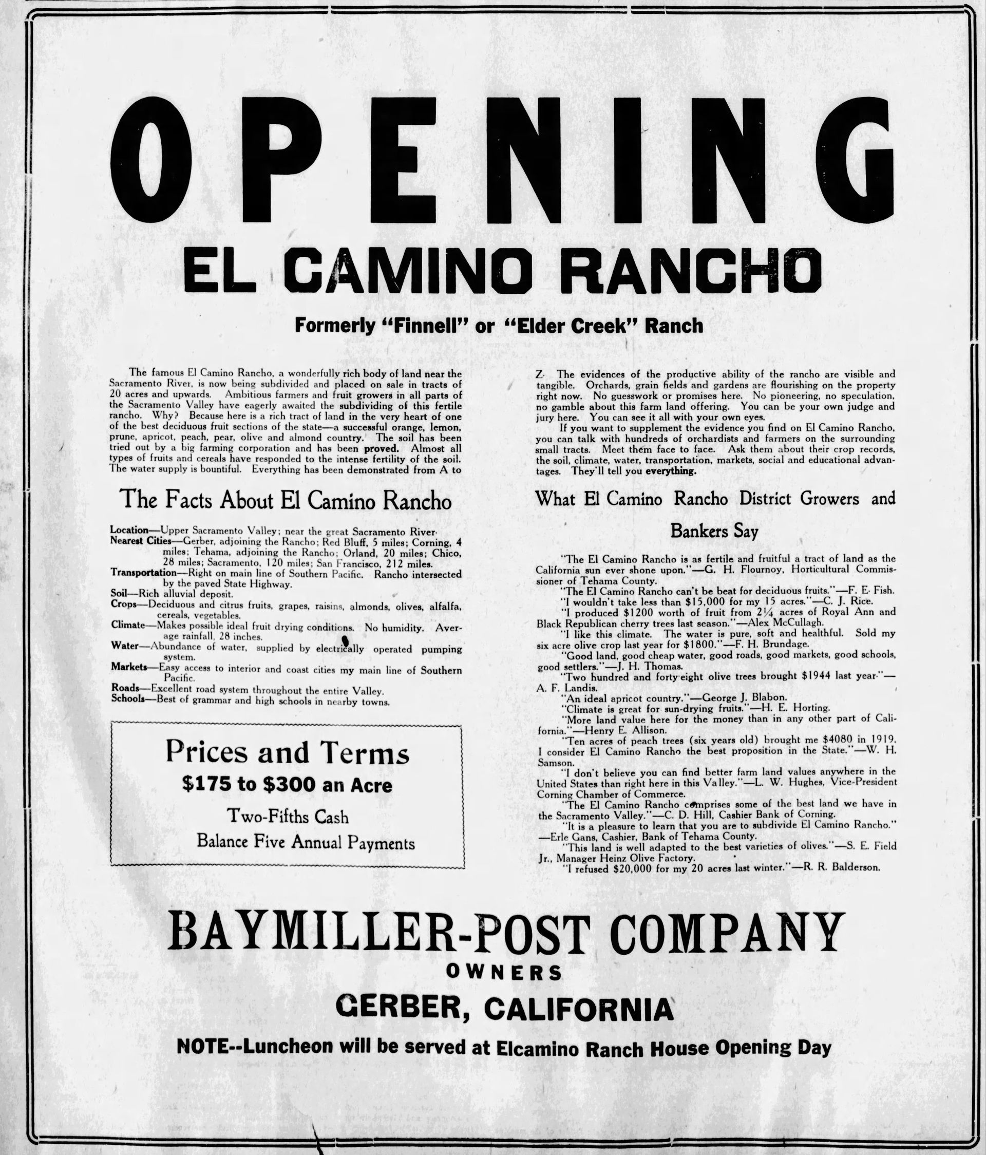 El Camino view 3
