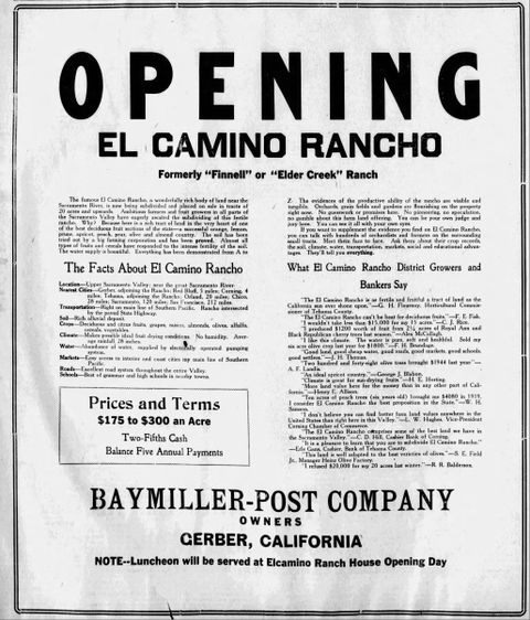 El Camino view 3