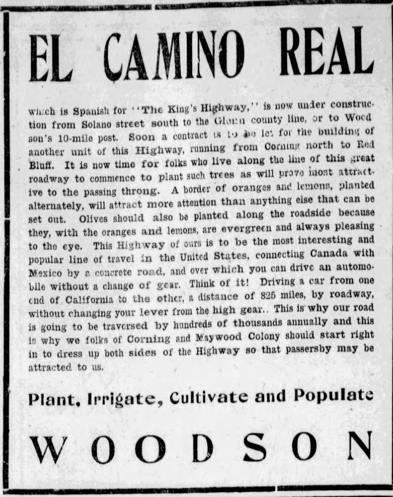 El Camino view 4