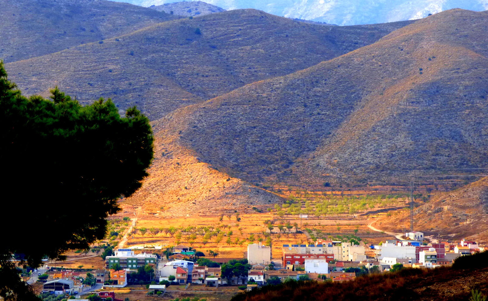 Hondón district
