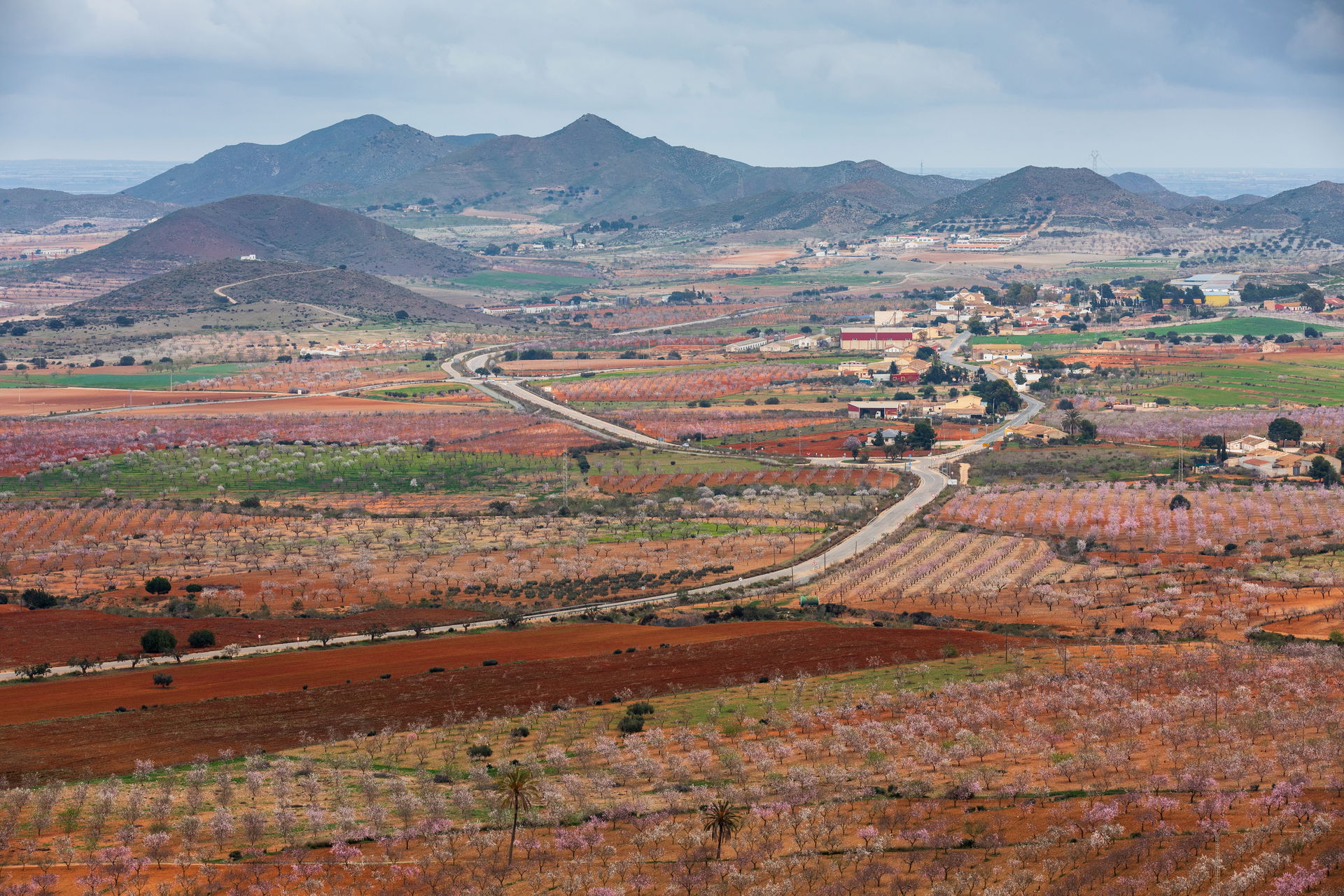 Campo Nubla view 1