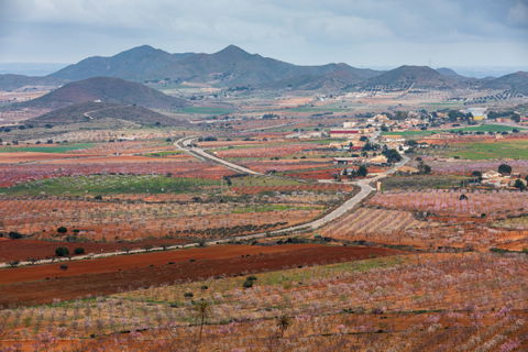 Campo Nubla view 1