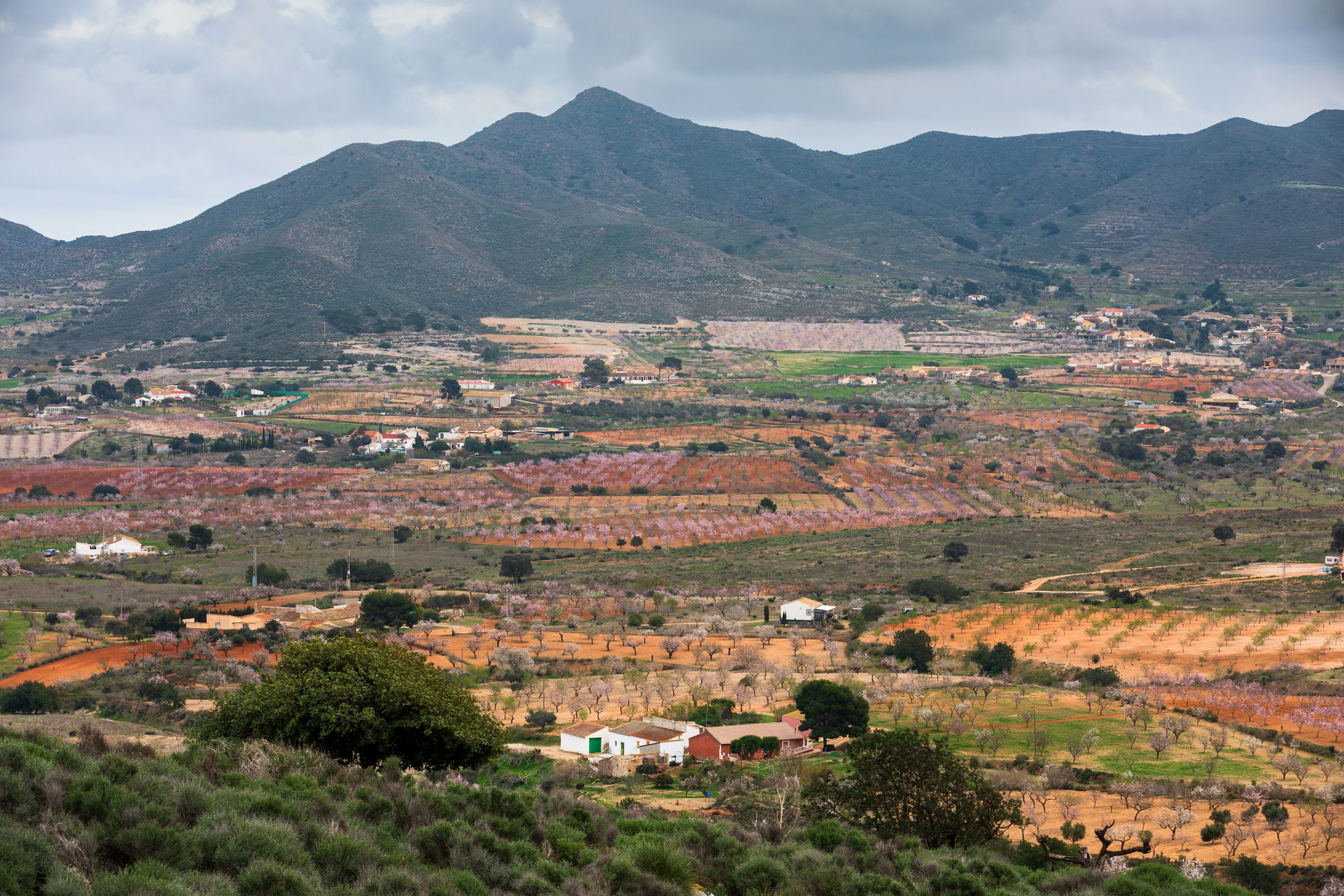 Campo Nubla view 5
