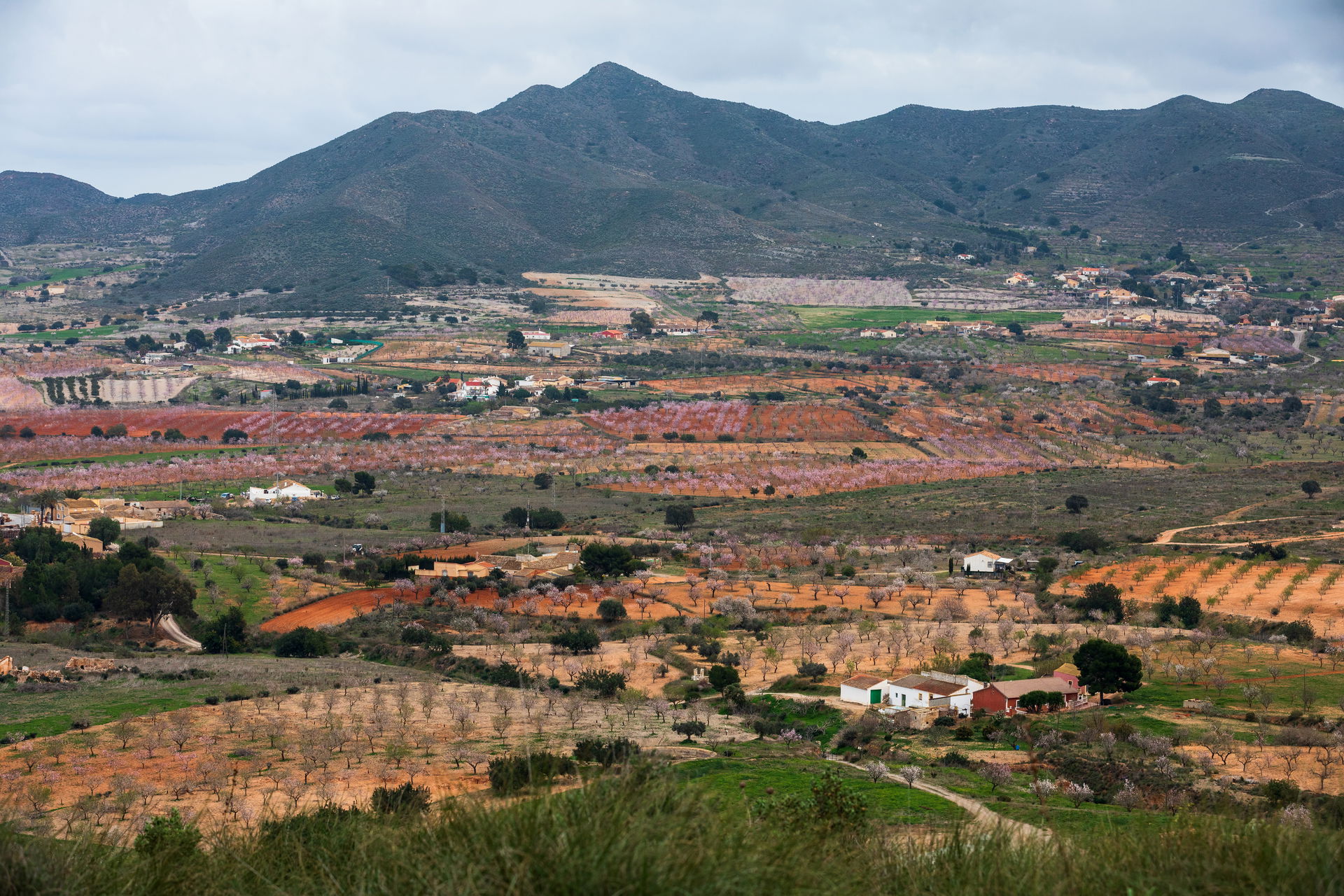Campo Nubla view 3