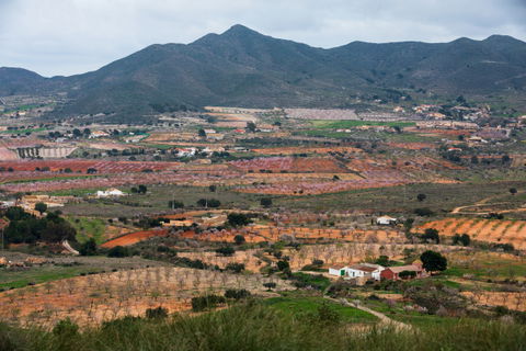Campo Nubla view 3