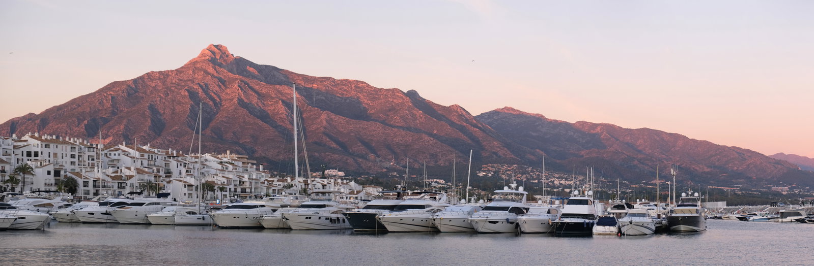 Puerto Banus district