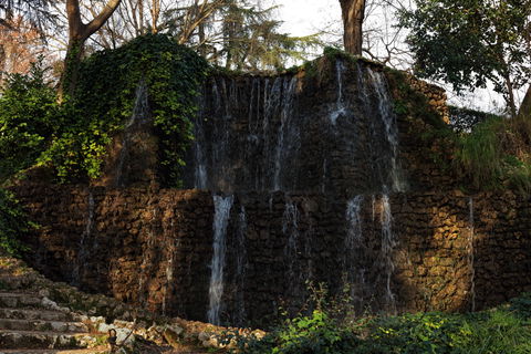 Fuente del Berro view 1