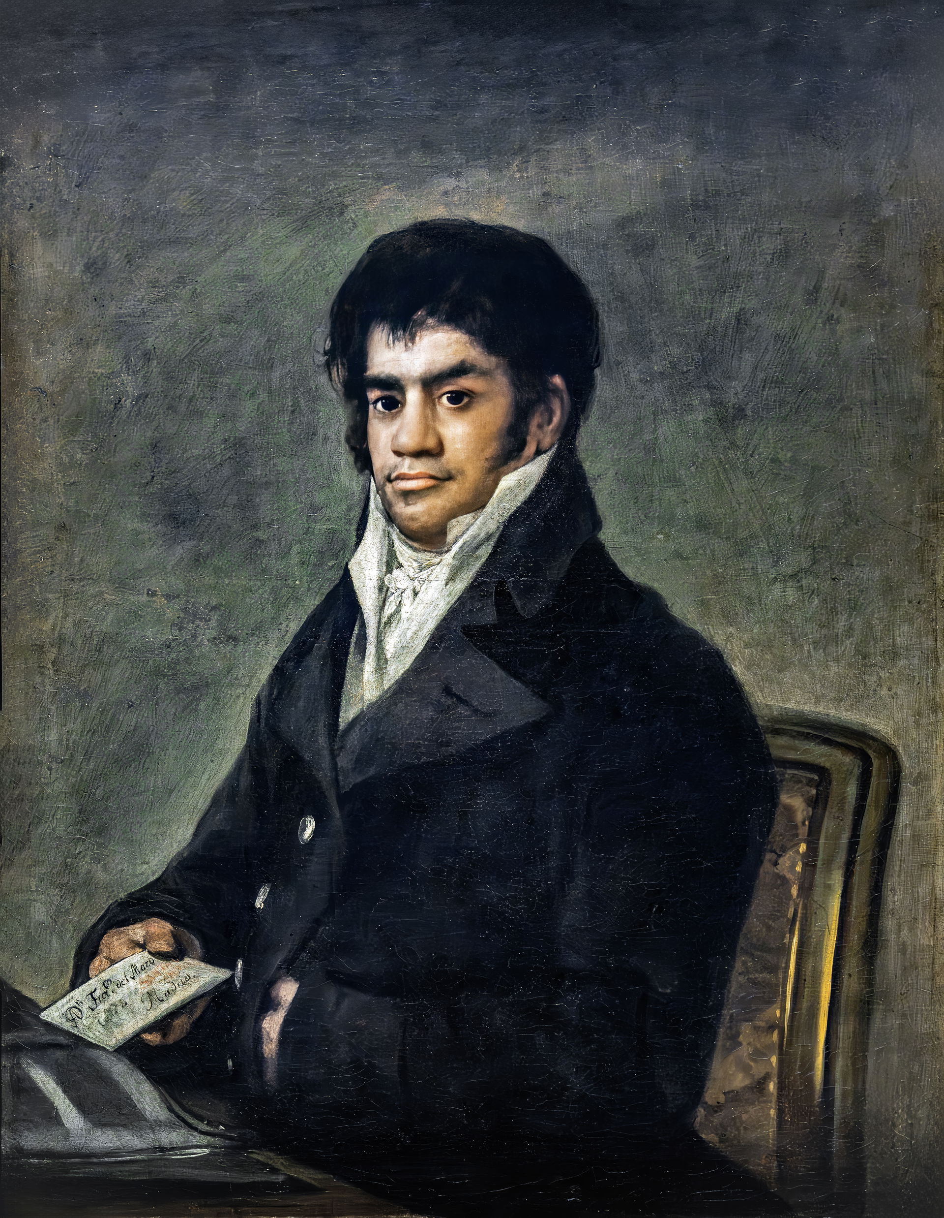 Goya view 3