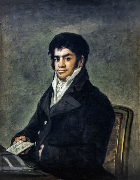 Goya view 3
