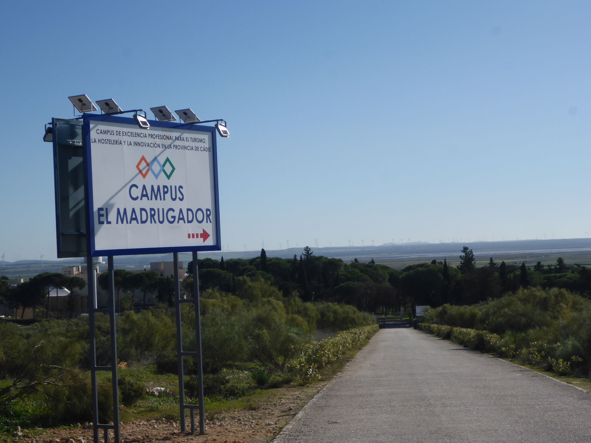 El Campus view 5
