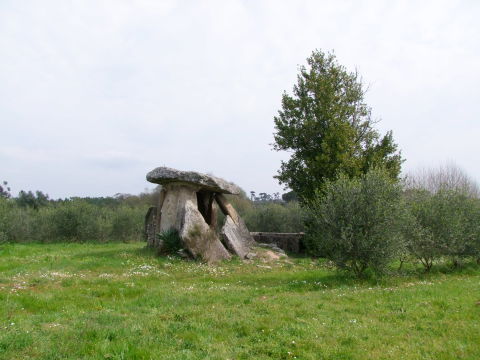 Paranhos view 2