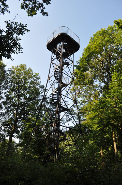 Hardtberg view 3