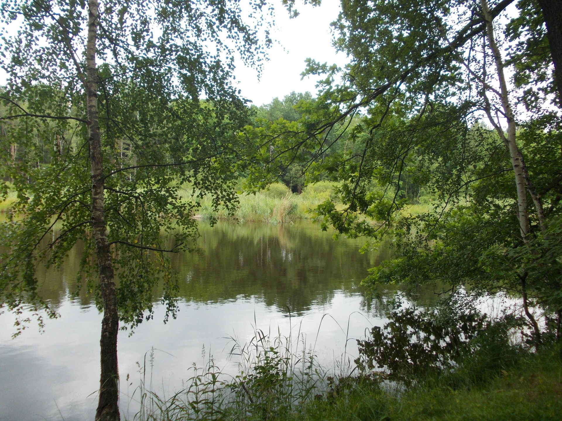 Reudnitz view 2