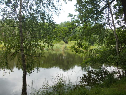 Reudnitz view 2