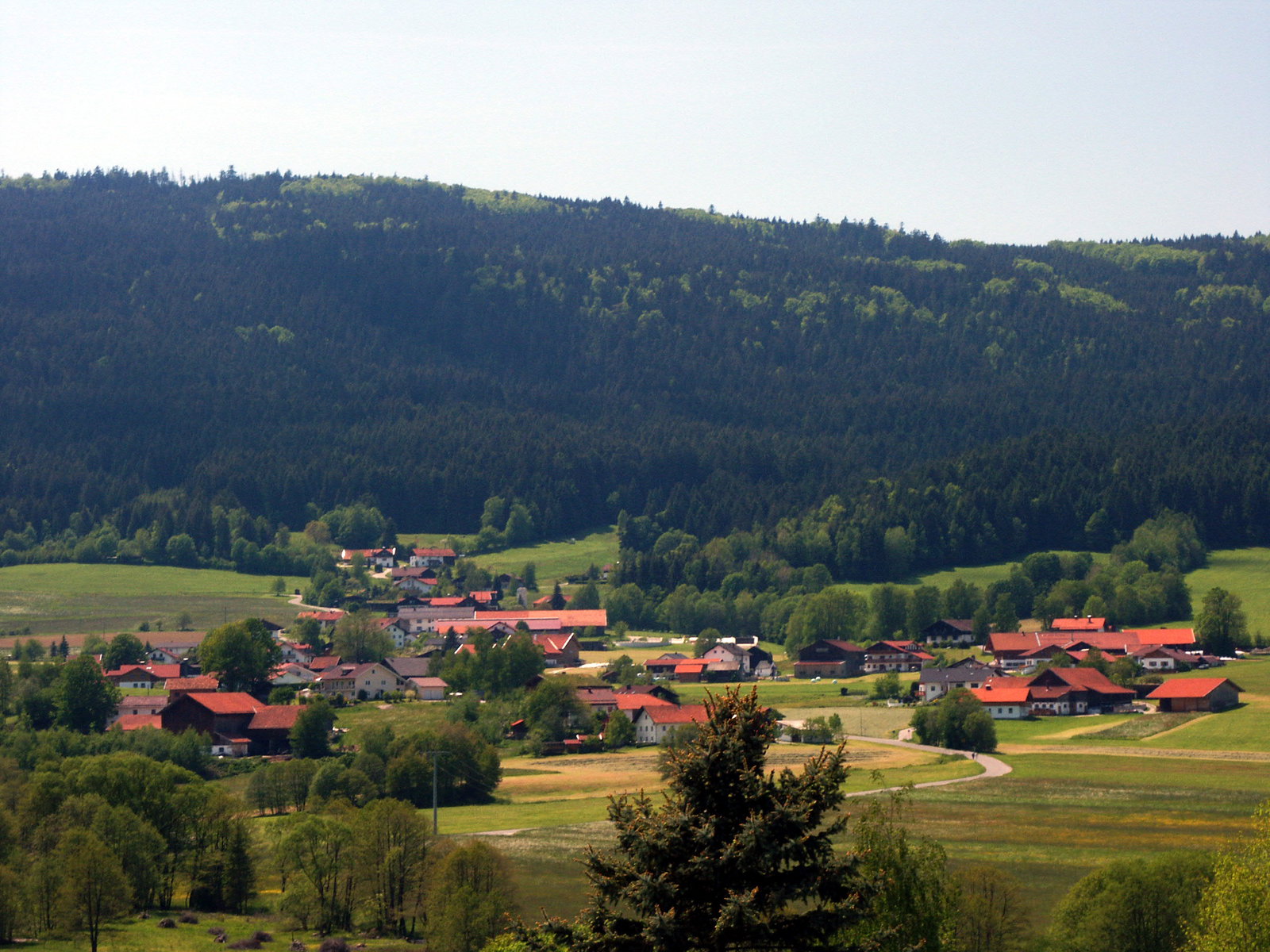 Lindenau district