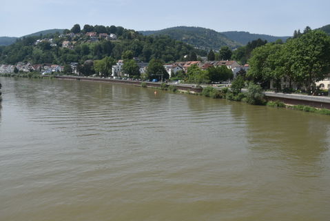 Ziegelhausen view 3