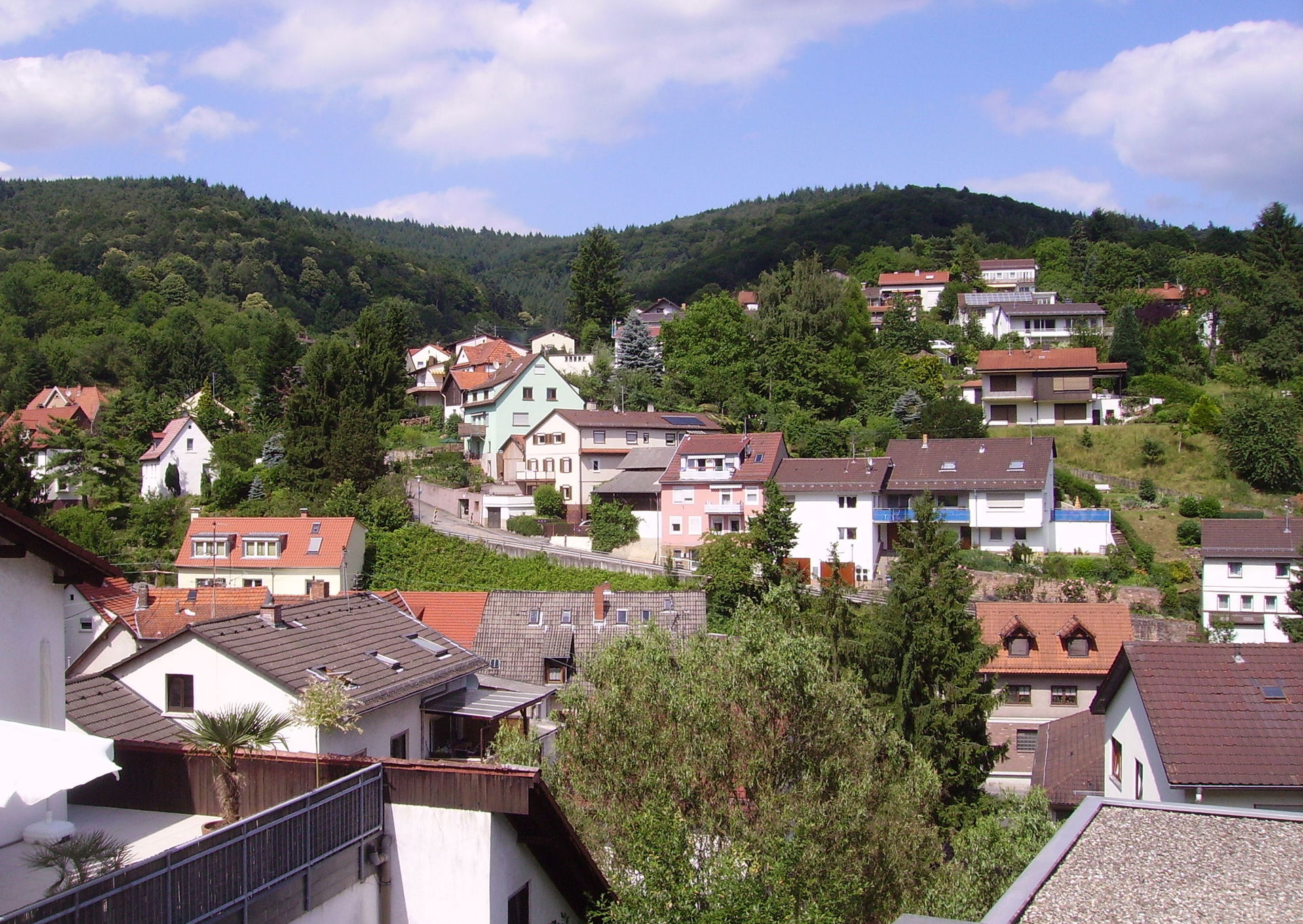 Ziegelhausen view 1