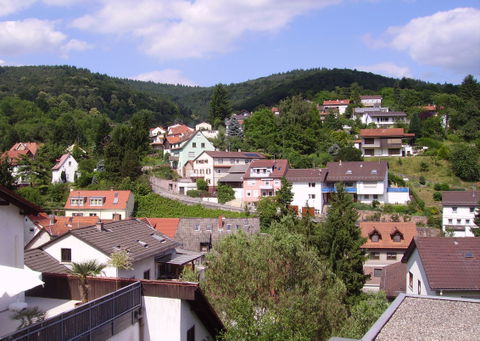 Ziegelhausen view 1
