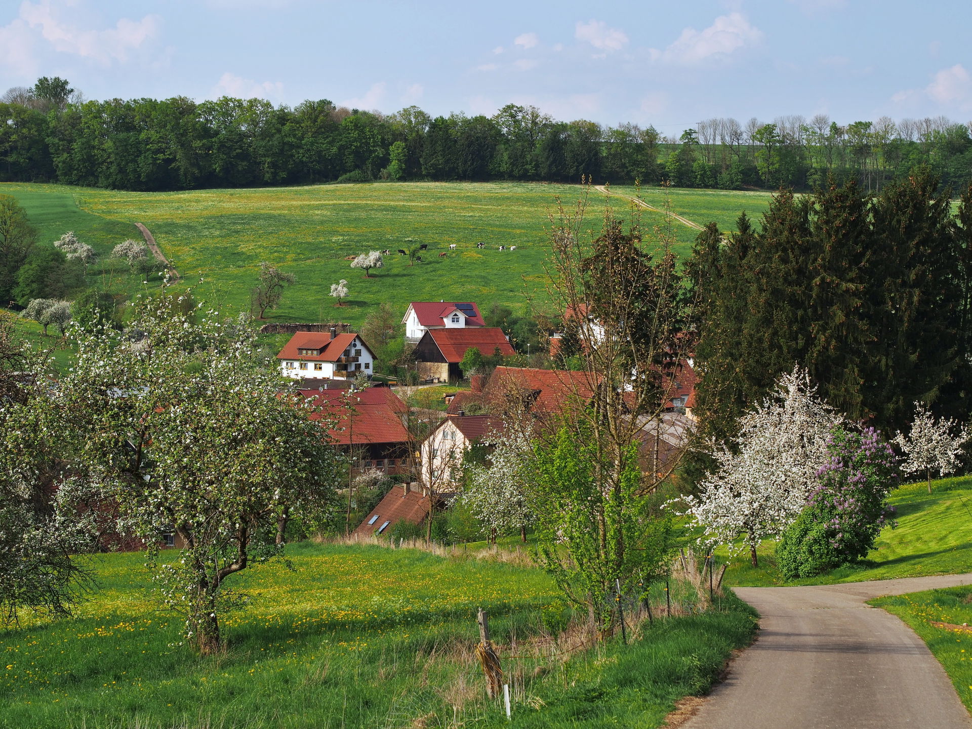 Göggingen view 3