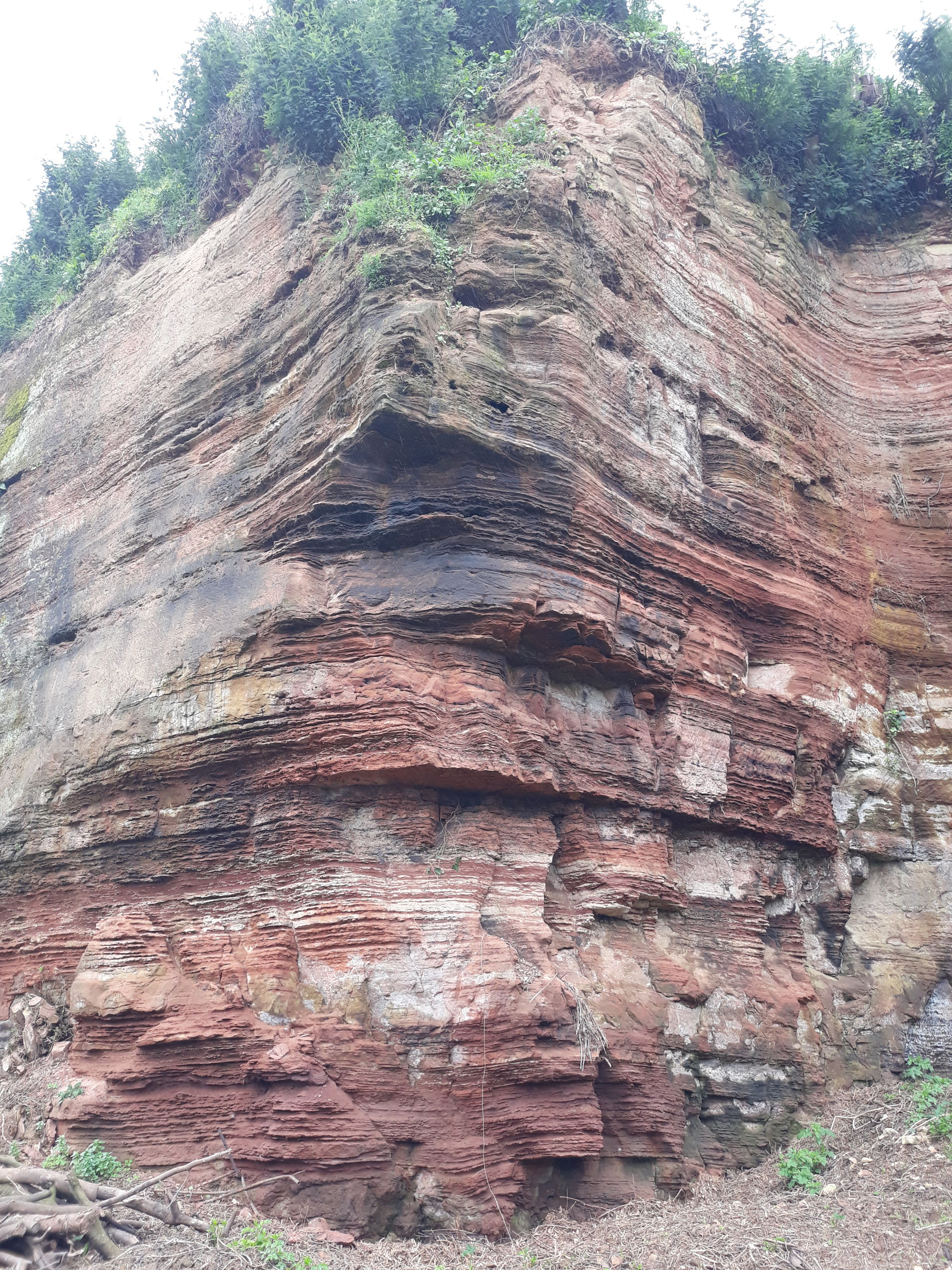 Eirol view 4