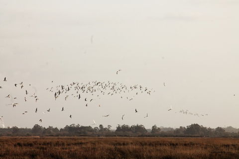 Murtosa view 3