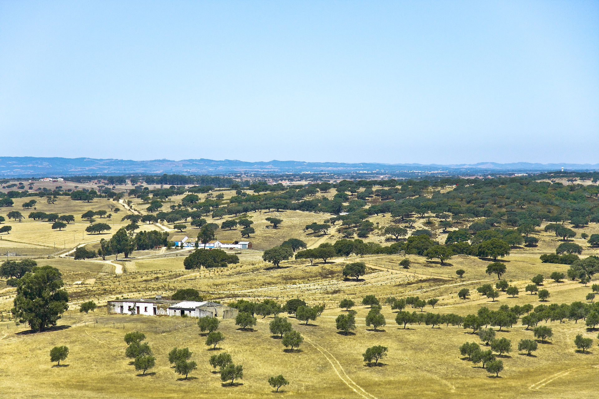 Almodôvar view 5