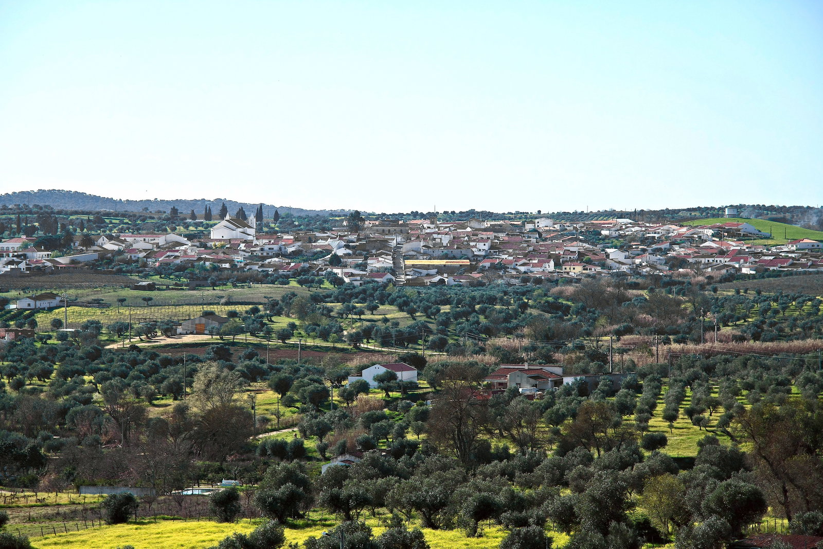 Vidigueira district