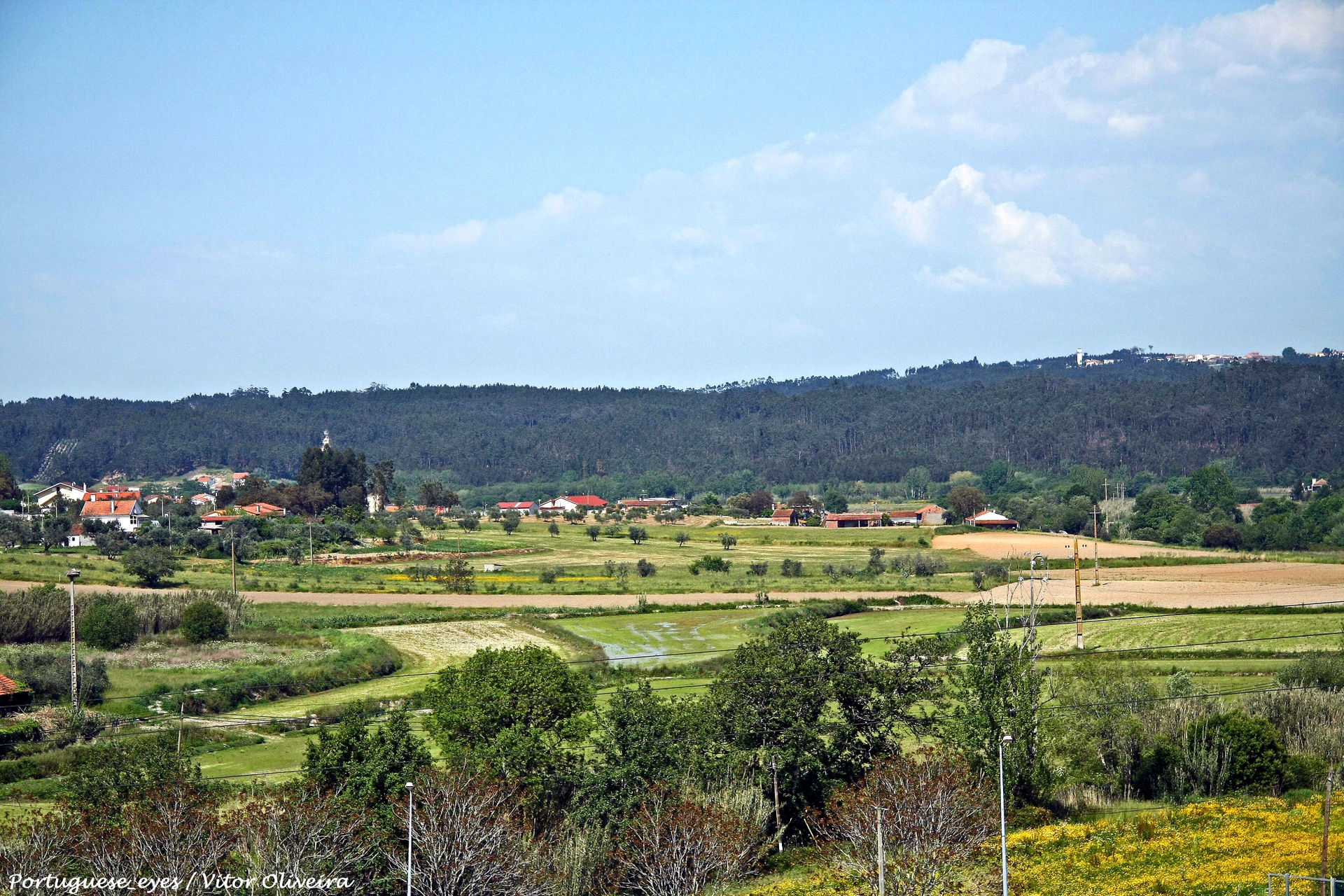 Louriçal do Campo view 3