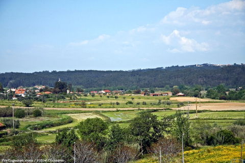 Louriçal do Campo view 3