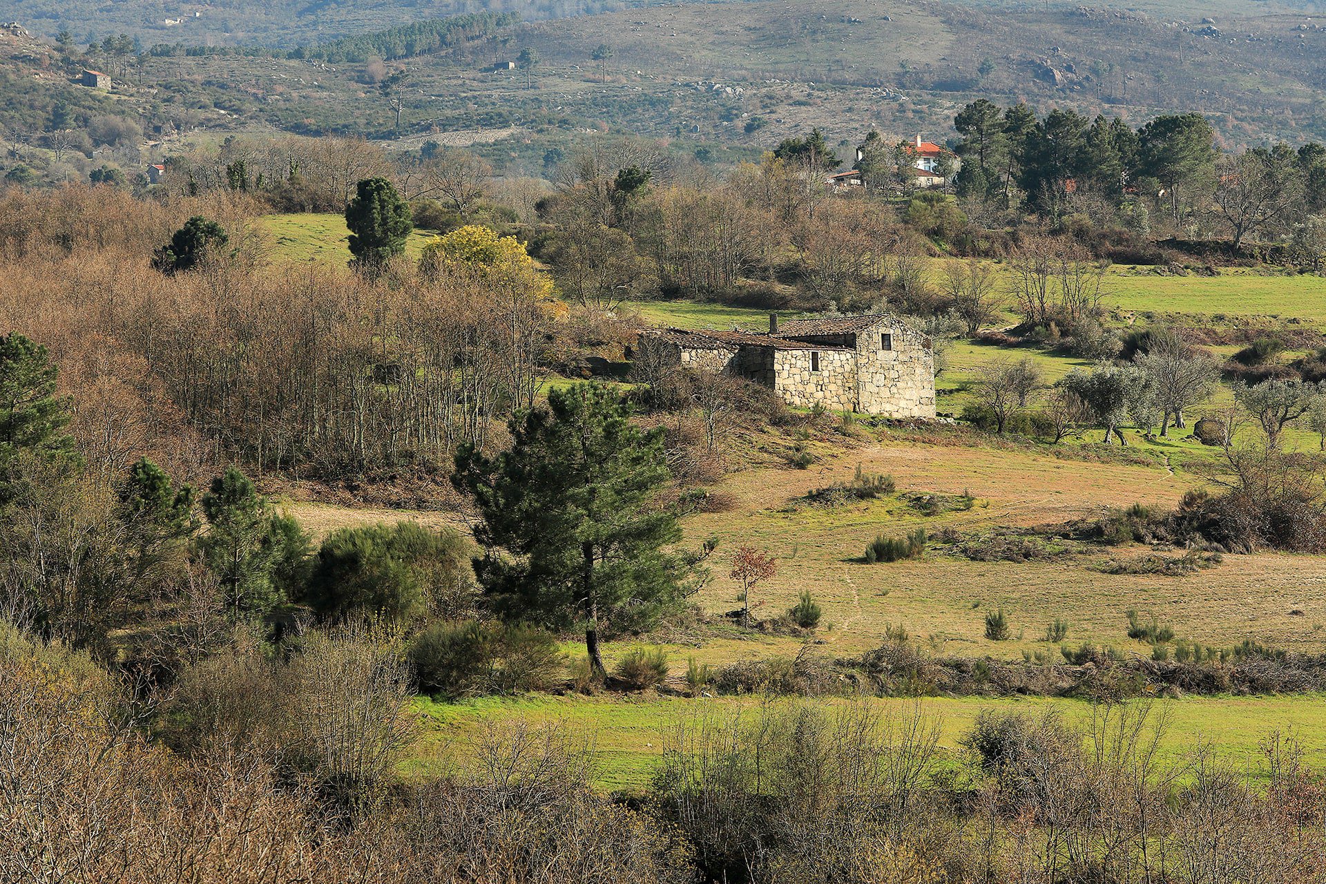 Salgueiro do Campo view 2