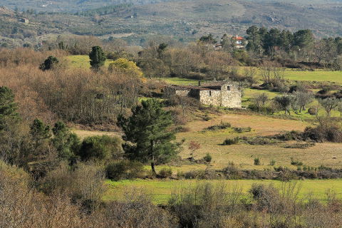 Salgueiro do Campo view 2