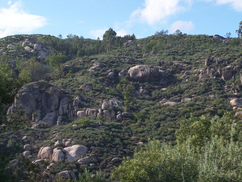 Aguiar da Beira view 1
