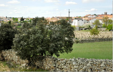 Vilar Formoso view 2