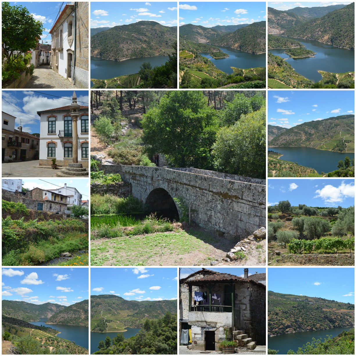 Alijó view 5