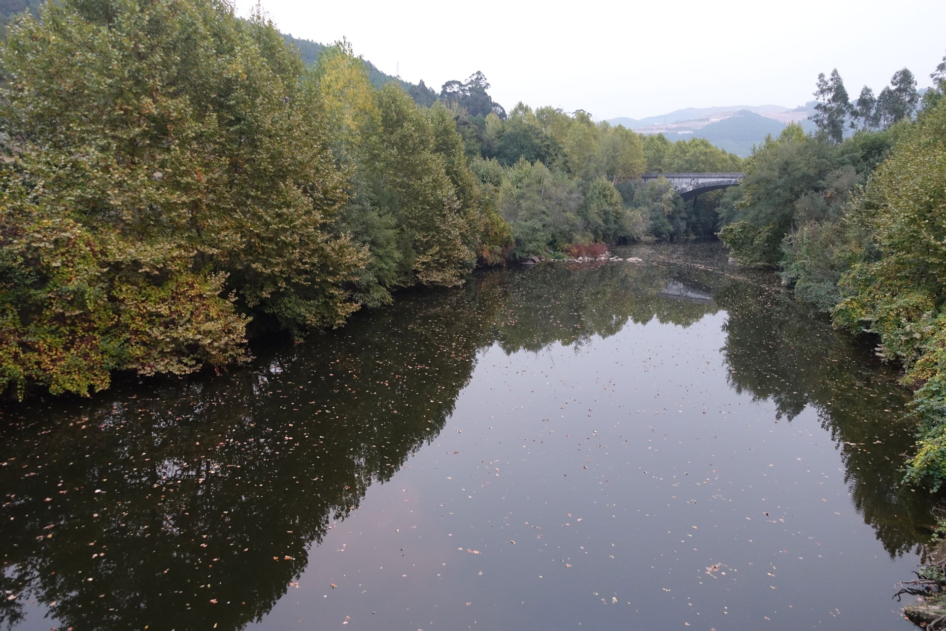 Ribeira de Pena view 5