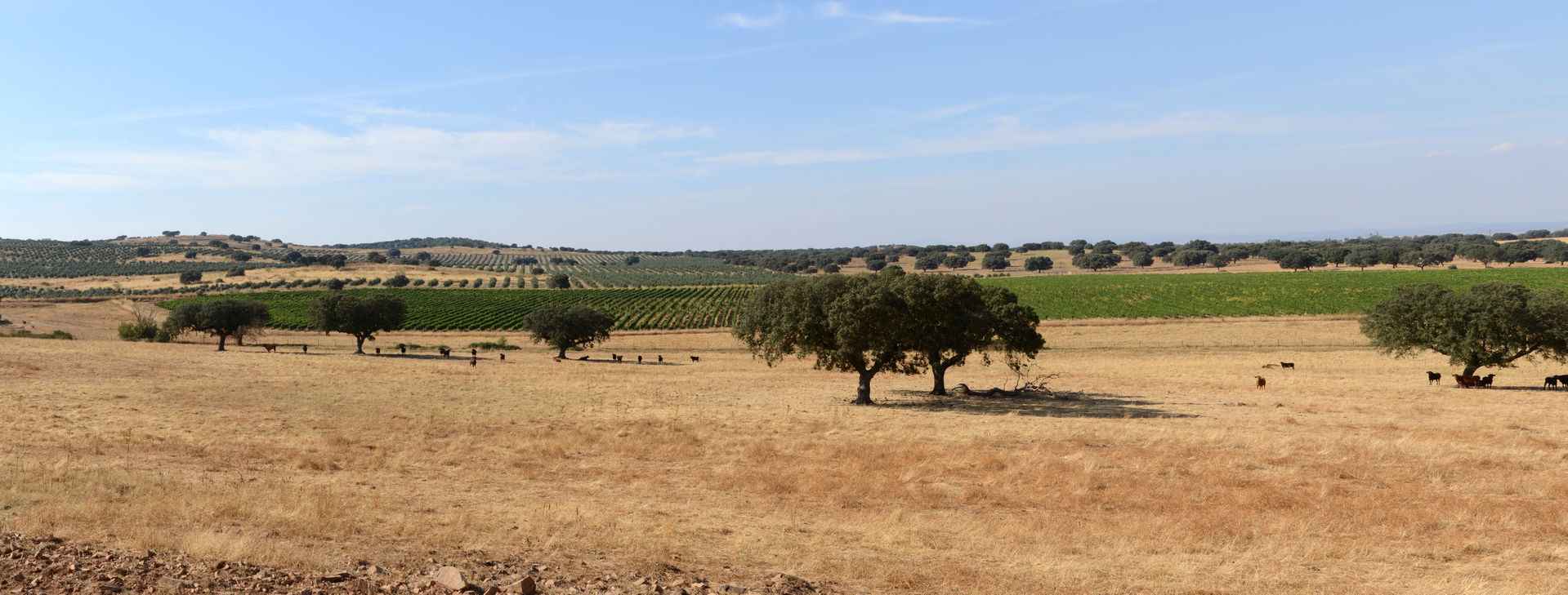 Alentejo Region view 3