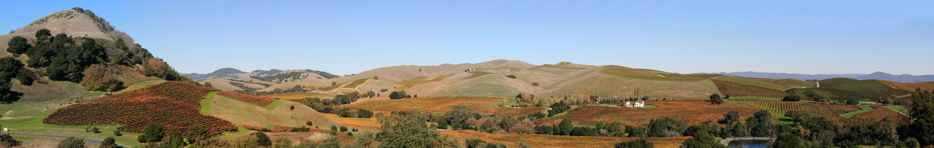 Vineyards Area view 5