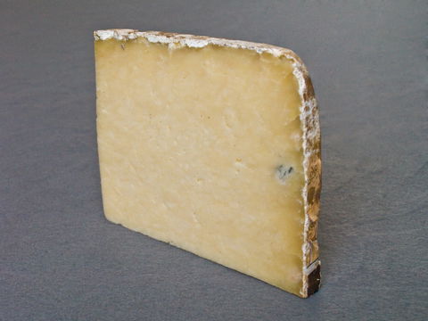 Cheese Production Area view 3