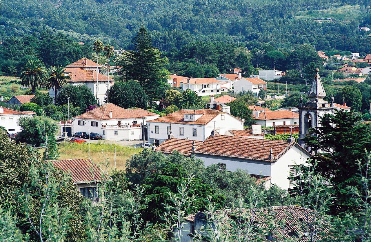 Afife view 5