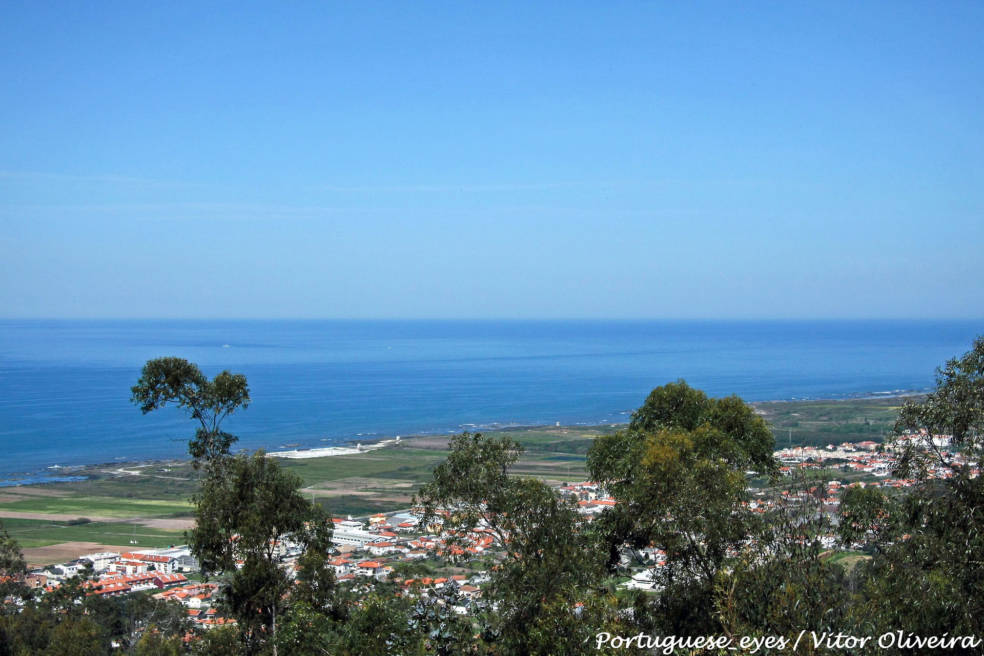 Areosa view 4