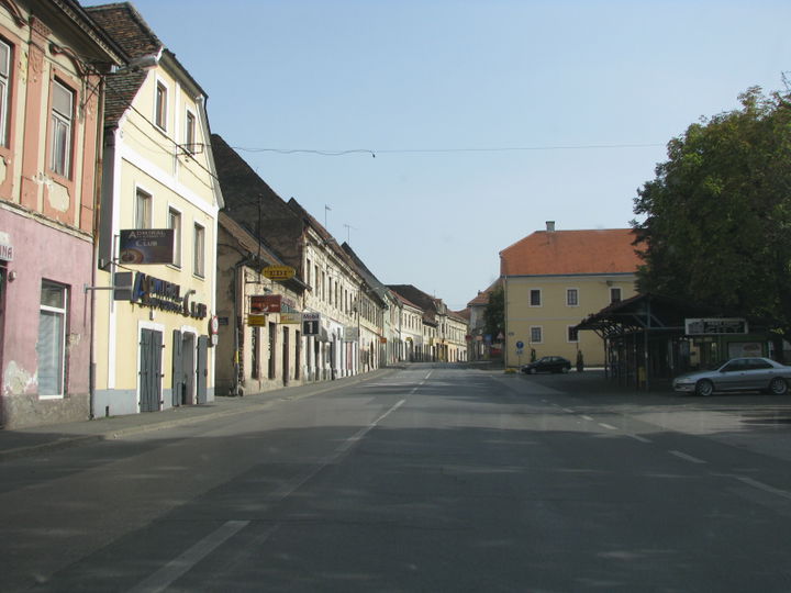 Petrinja district