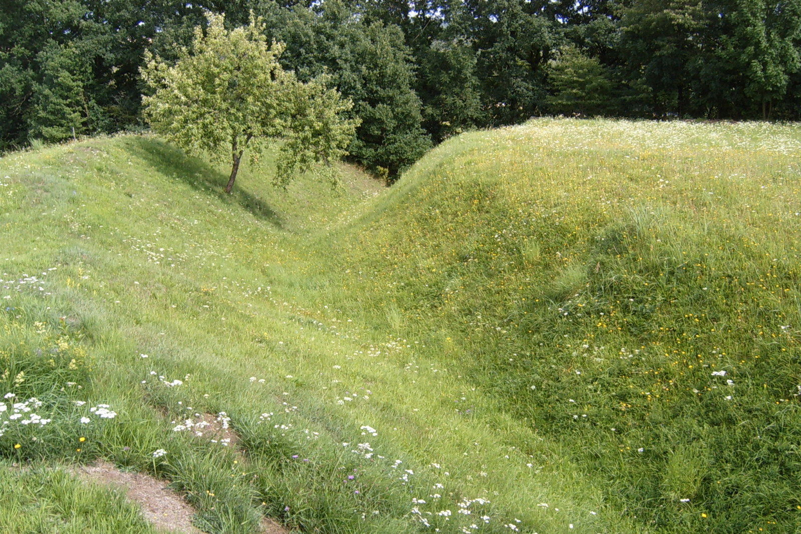 Skalice view 2