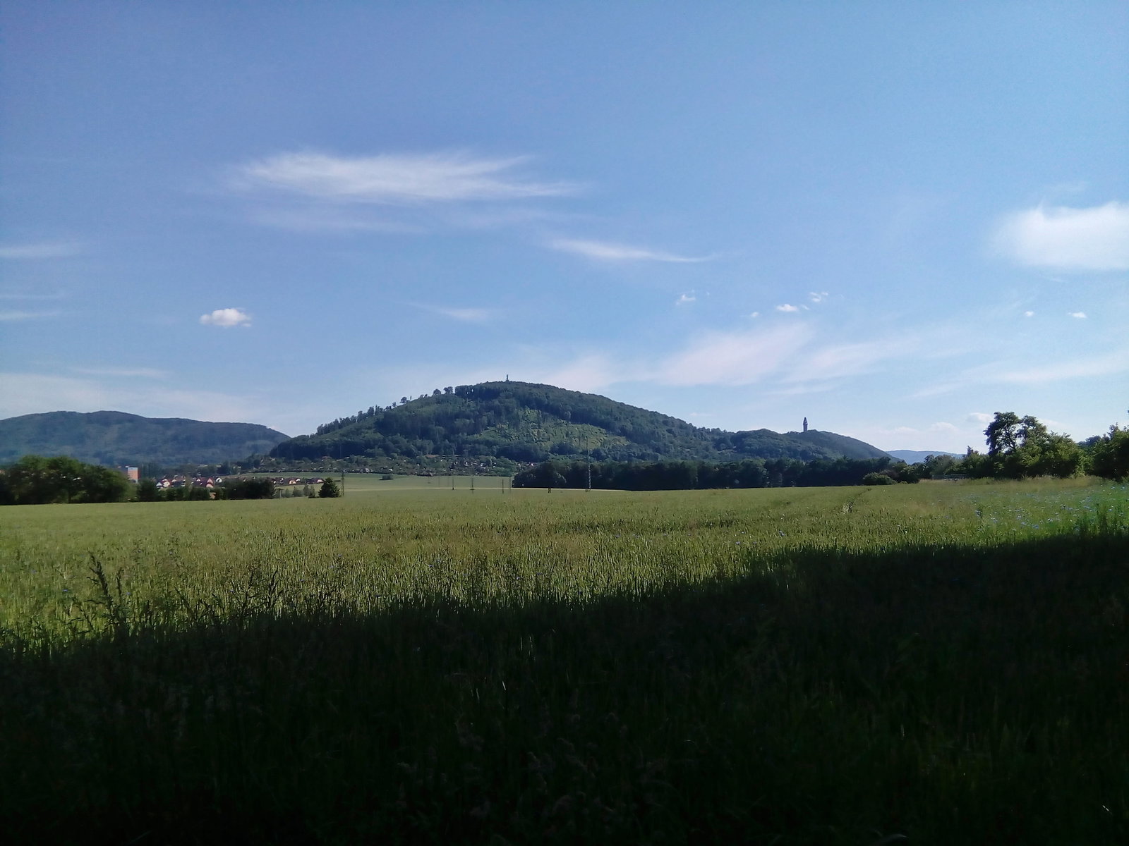 Závišice district